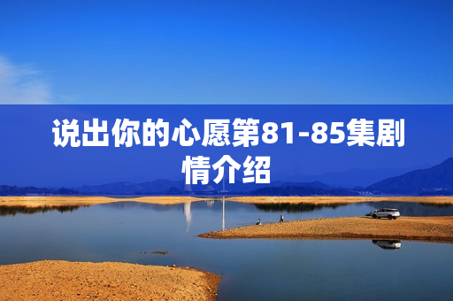 说出你的心愿第81-85集剧情介绍