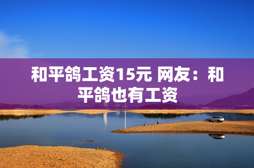 和平鸽工资15元 网友：和平鸽也有工资