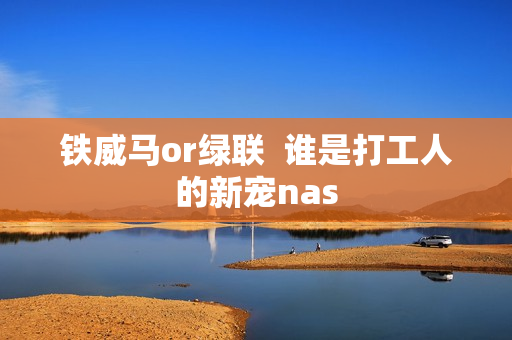 铁威马or绿联  谁是打工人的新宠nas