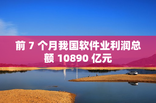 前 7 个月我国软件业利润总额 10890 亿元