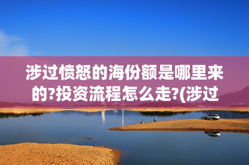 涉过愤怒的海份额是哪里来的?投资流程怎么走?(涉过愤怒的海没过审)