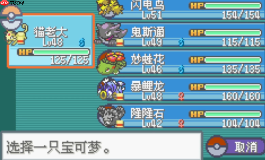 宝可梦速刷大师：战斗探测器狂飙全地图攻略