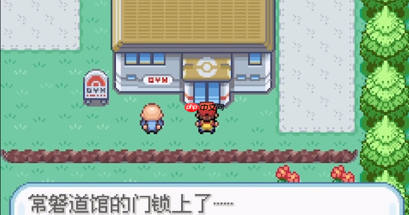 常磐道馆解锁秘诀:勇者!别在那扇锁着的门前转圈啦