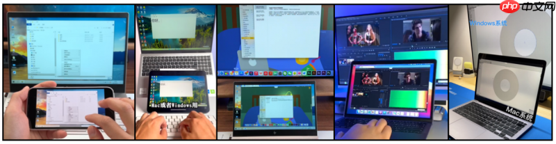 远程办公神器测评:向日葵与ToDesk的“专精”如何?