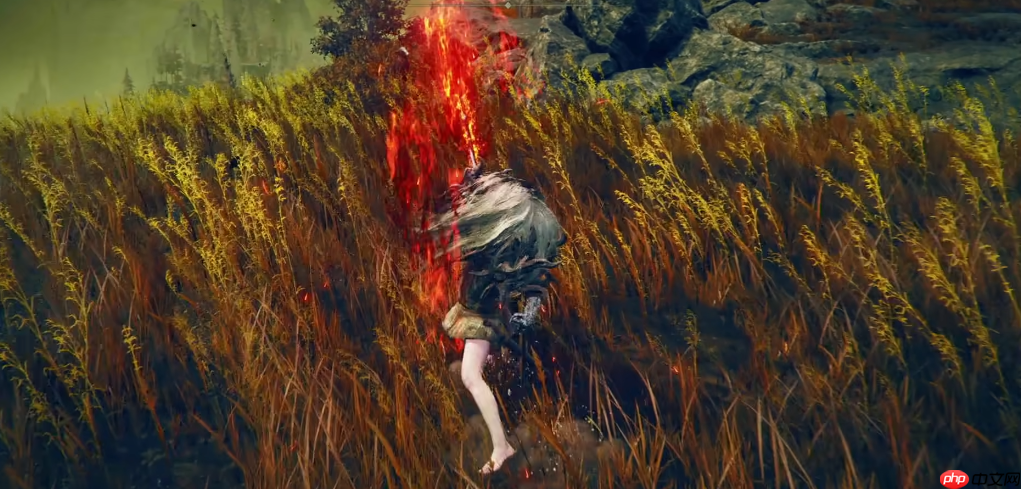 火焰穿刺战技解析:撕裂战场的双重烈焰舞步