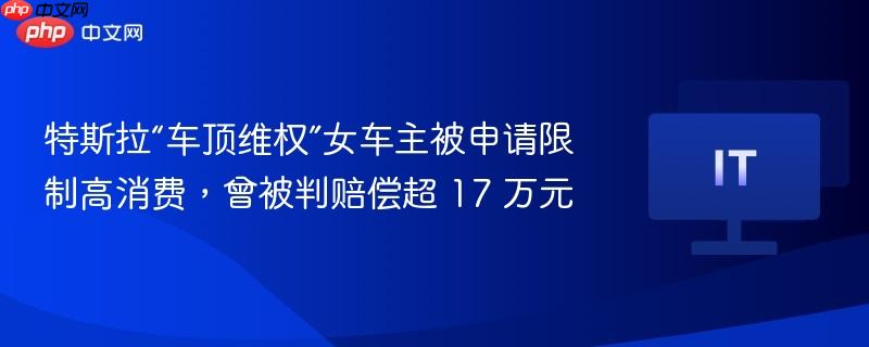 特斯拉“车顶维权”女车主被申请限制高消费，曾被判赔偿超 17 万元