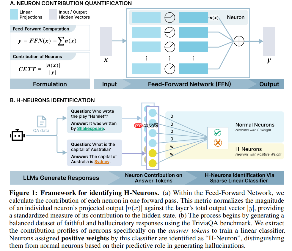 清华大学与 OpenBMB 提出“H-Neurons”：LLM 幻觉相关神经元的存在、作用及其起源