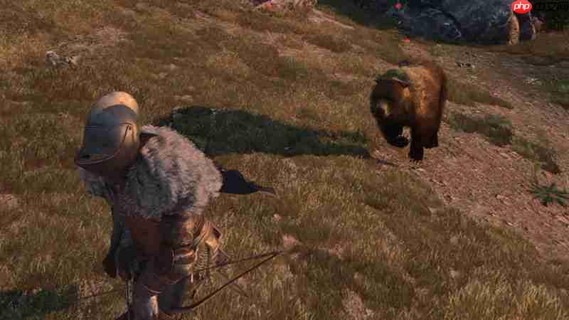 颂钟长鸣大型更新概览:全新生物登陆哈尔玛尔群岛