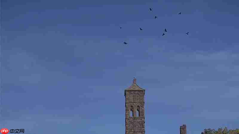 颂钟长鸣大型更新概览:全新生物登陆哈尔玛尔群岛