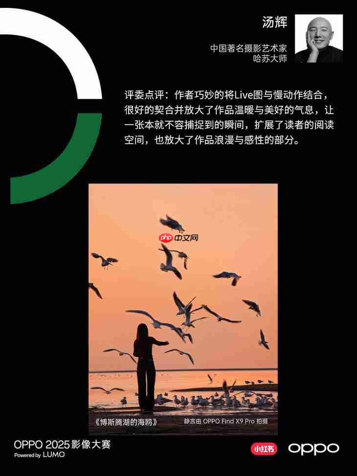 点亮感动时刻  OPPO 2025影像大赛获奖作品正式公布