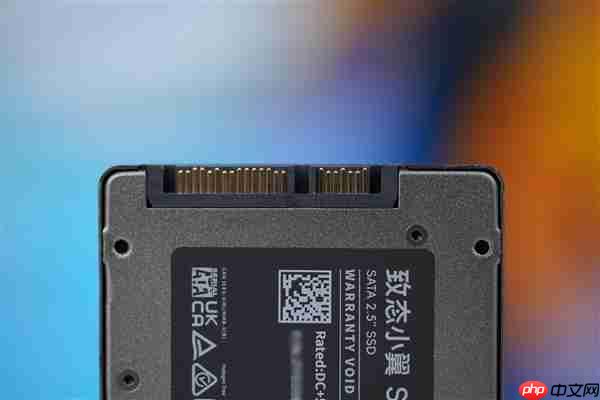 长江存储原厂颗粒!致态小翼S001 1TB SSD图赏