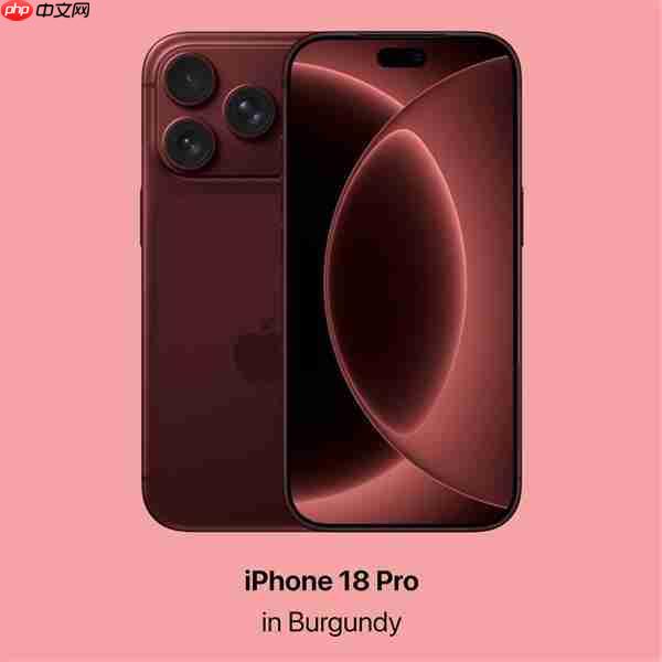 首发“灵动小岛”?iPhone 18系列被曝测试屏下Face ID