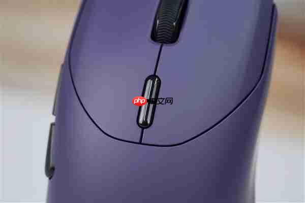 最快按键速度!雷柏VT9 MAX二代鼠标图赏
