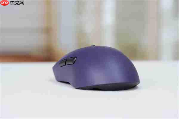 最快按键速度!雷柏VT9 MAX二代鼠标图赏