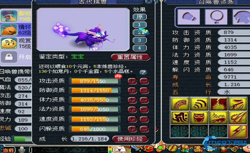 55级宝宝选择终极指南:性价比与实战并重的过渡期攻略