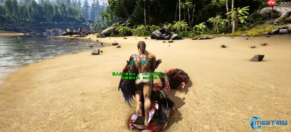 水域生存指南:应对食人鱼的全面攻略