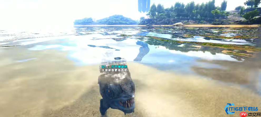 水域生存指南:应对食人鱼的全面攻略