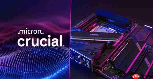 美光突然放弃消费级英睿达内存、SSD:3个月后闪电消失