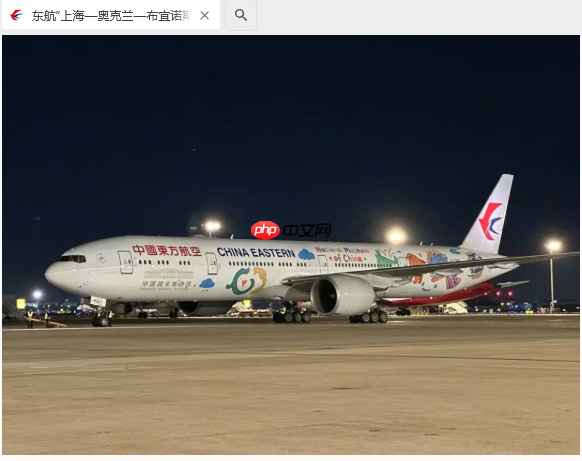 中国东航详解全球最长单程民航航线，由上海飞往布宜诺斯艾利斯