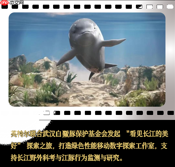 Intel中国整整40年了!揭开你不熟悉的另一面