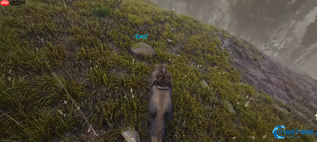 驯服恐狼组建无敌狼群:全面解析实用战斗与探索技巧