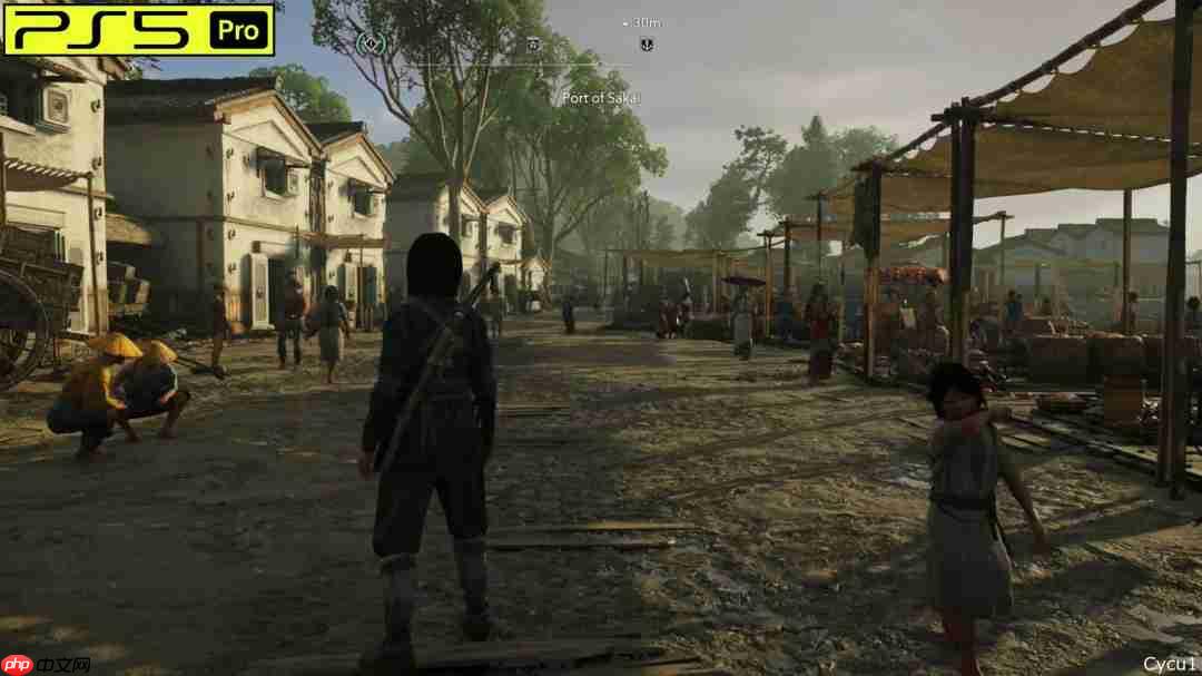 《刺客信条：影》PS5 Pro和Switch 2画面对比