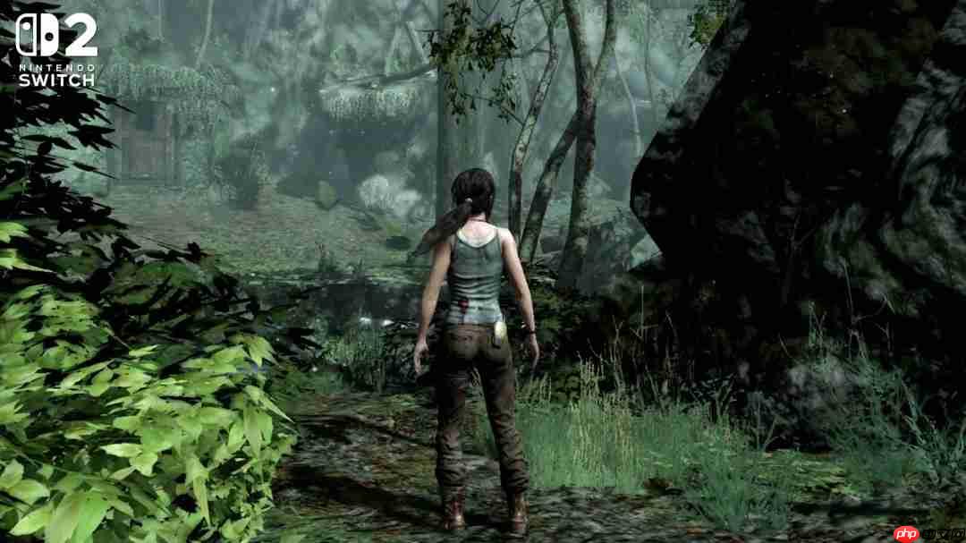 《古墓丽影9》NS2版画面大缩水 甚至不如PS3原版