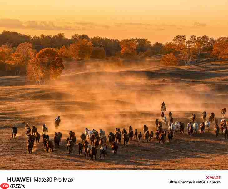 华为Mate80系列样张出来了,这不妥妥的吊打苹果iPhone?