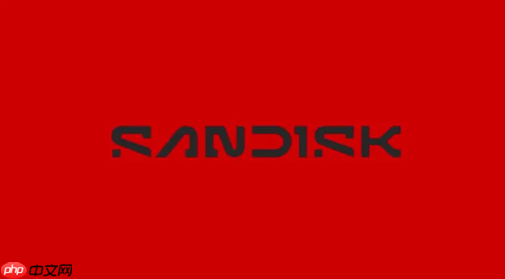 闪迪寻求力积电合作:计划NAND闪存产能外包