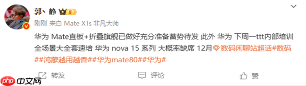 档期排满!曝华为nova 15系列大概率无缘12月发布