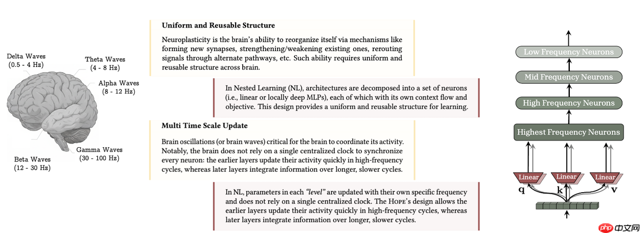 谷歌提出嵌套学习(Nested Learning)架构, 解决“灾难性遗忘”问题