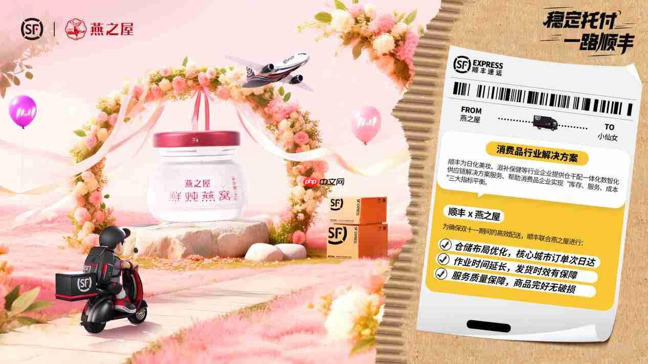 助力品牌迎战双·十一高峰,顺丰智慧供应链重塑电商物流体验