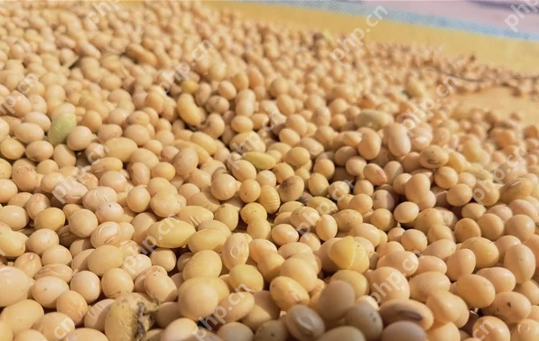 大豆新用途：清华团队成功研发出环保型固态电池电解质，安全且环保 - php中文网