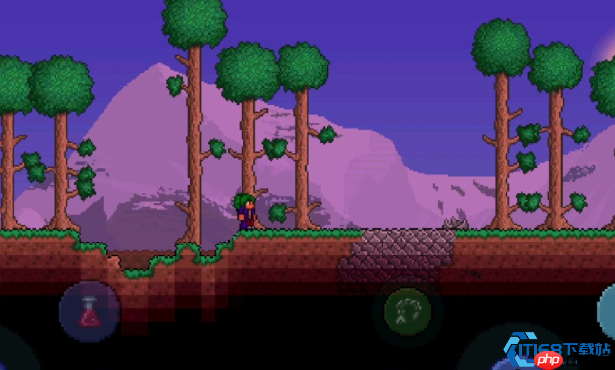 硫磺海生存指南:灾厄世界的腐蚀深渊与宝藏前线