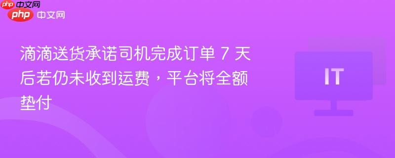 滴滴送货承诺司机完成订单 7 天后若仍未收到运费,平台将全额垫付