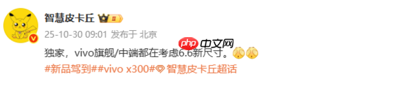 曝vivo X300 Ultra配6.8英寸屏 中端新机测试6.6英寸?