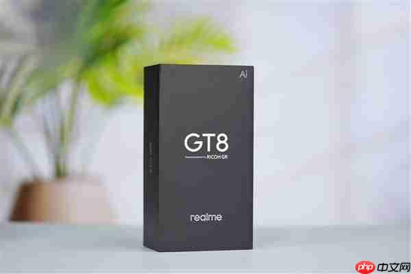 全球首发理光GR影像！真我GT8 Pro图赏