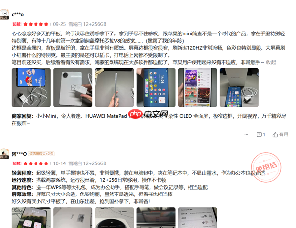 年度爆款小平板!华为MatePad Mini 典藏版正式开售:给高端用户一个新选择