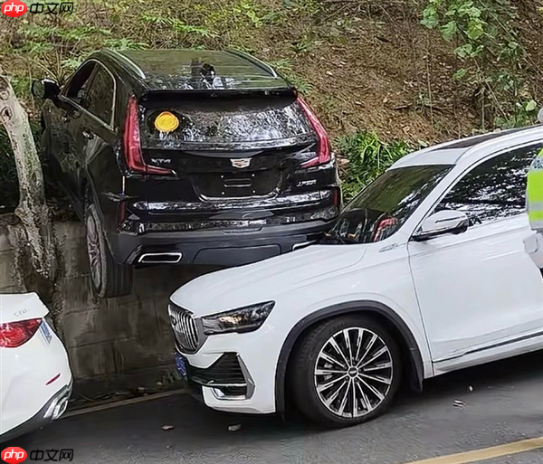 女子油门当刹车猛踩 没上牌的凯迪拉克XT4骑到星越L头上