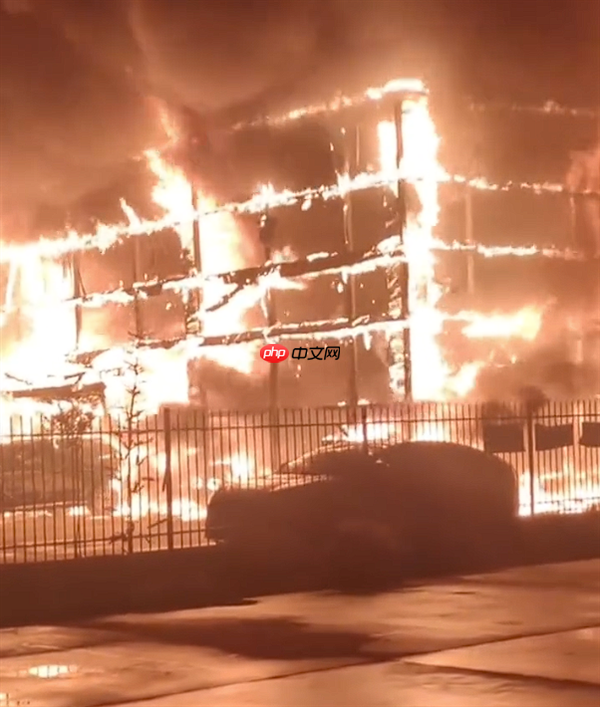 阜阳一长安4S店凌晨燃起大火多车被烧：原因不明