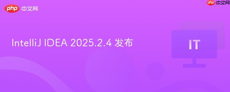 IntelliJ IDEA 2025.2.4 发布