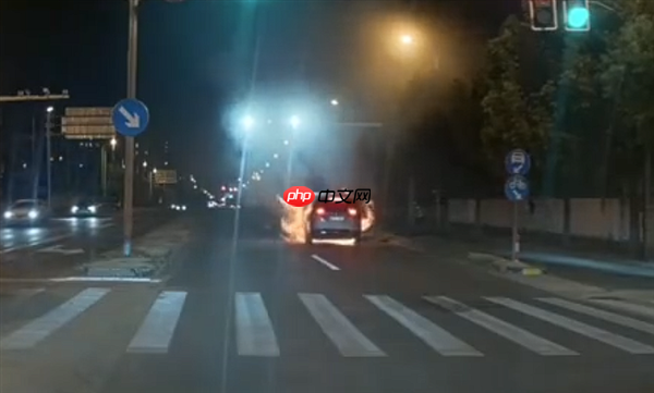 理想回应MEGA起火事故：驾驶员乘客安全逃离 消防部门正调查