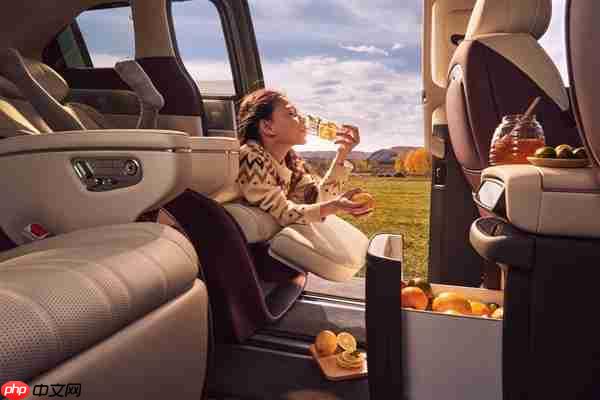 配60升大油箱 小鹏X9增程版内饰公开:全车用4.2米进口真木