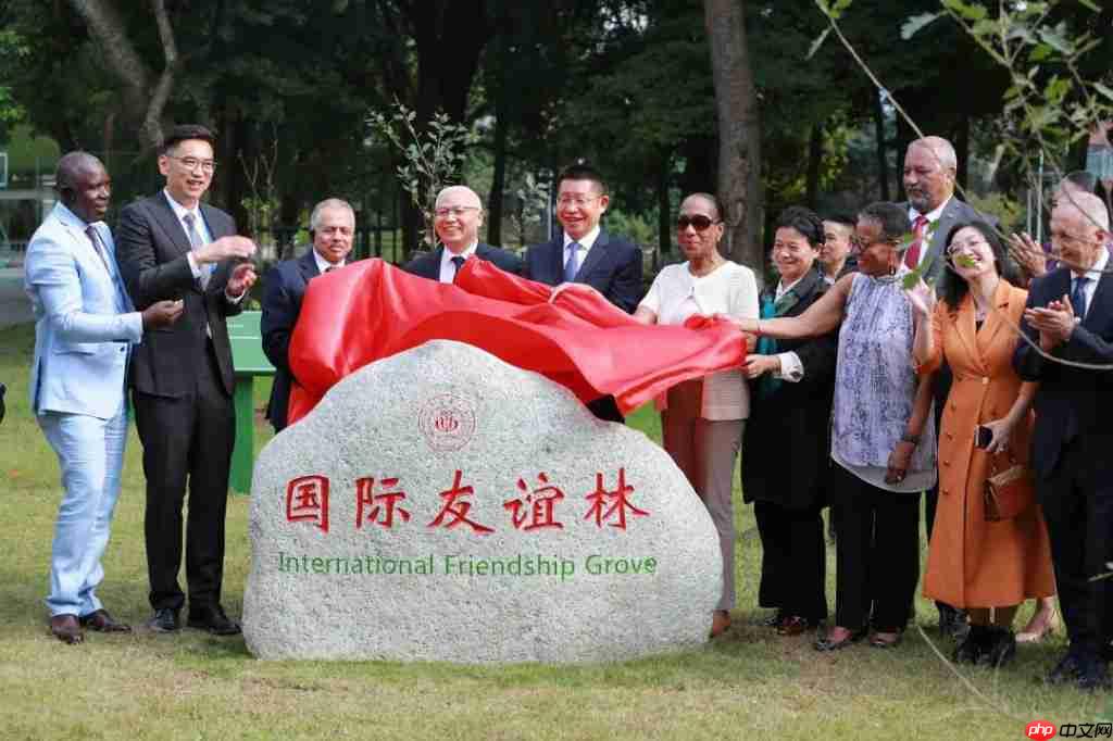 “国际朋友圈”扩容!11国驻华大使为雨城点赞 ——“‘一带一路’乡村振兴·文化交融”驻华大使走进雨城区公益交流活动侧记