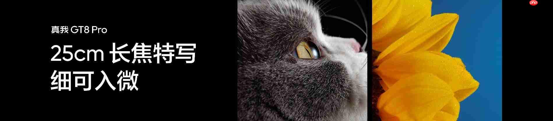 搭载理光GR影像系统！真我GT8系列正式发布