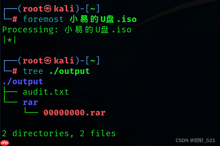 BUUCTF 小易的U盘 1