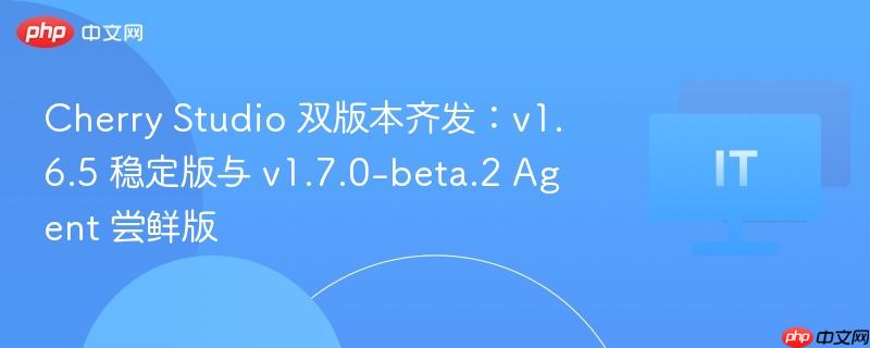 Cherry Studio 双版本齐发：v1.6.5 稳定版与 v1.7.0-beta.2 Agent 尝鲜版