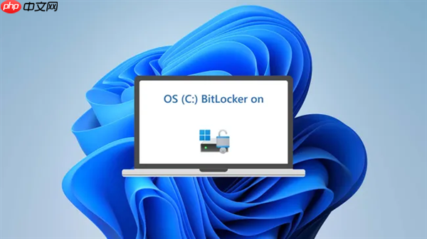 Windows BitLocker自动加密磁盘！3TB宝贵数据丢失：永远无法再找回