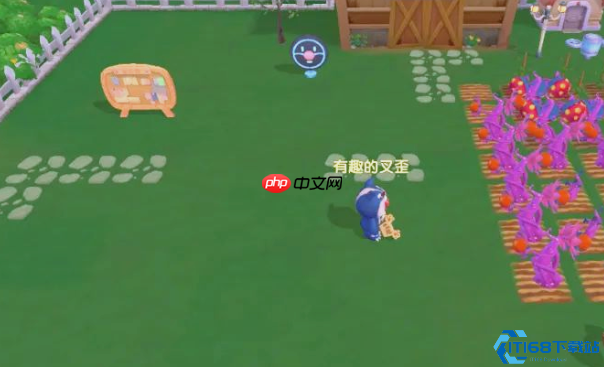 拉姆饲养终极指南：摩尔豆换饥饿值速升三级攻略