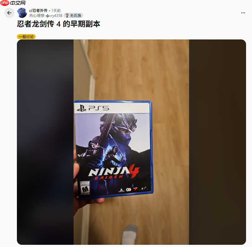 《忍者龙剑传4》现已偷跑 玩家称战斗系统非常惊艳！